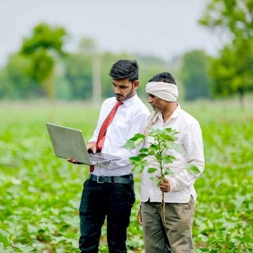 Farmers